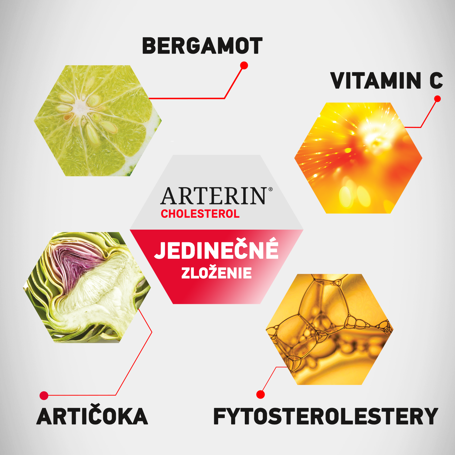 Aké zloženie má ARTERIN® CHOLESTEROL?