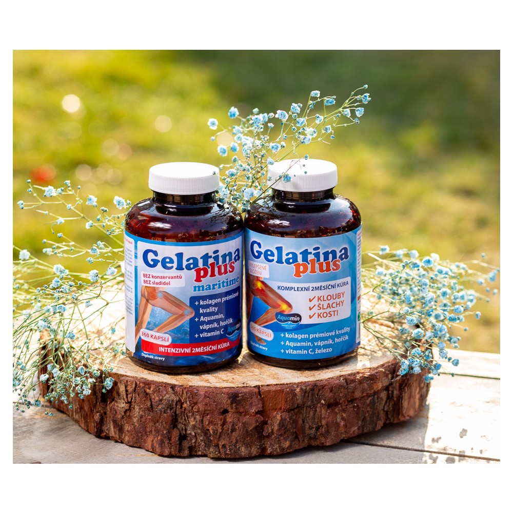 Gelatina Plus – kĺby, šľachy, kosti